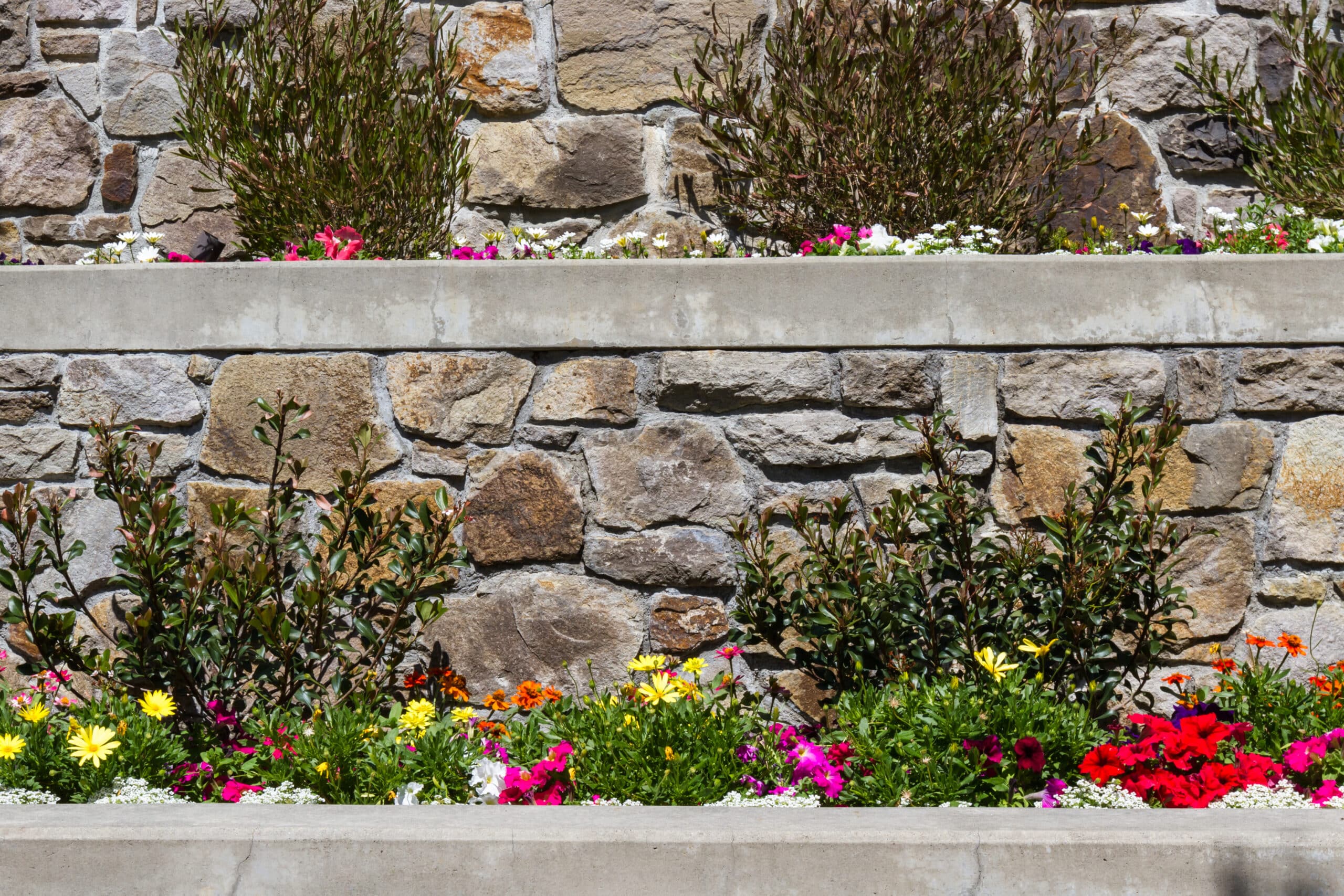 Mur en pierre naturelle bordé de fleurs