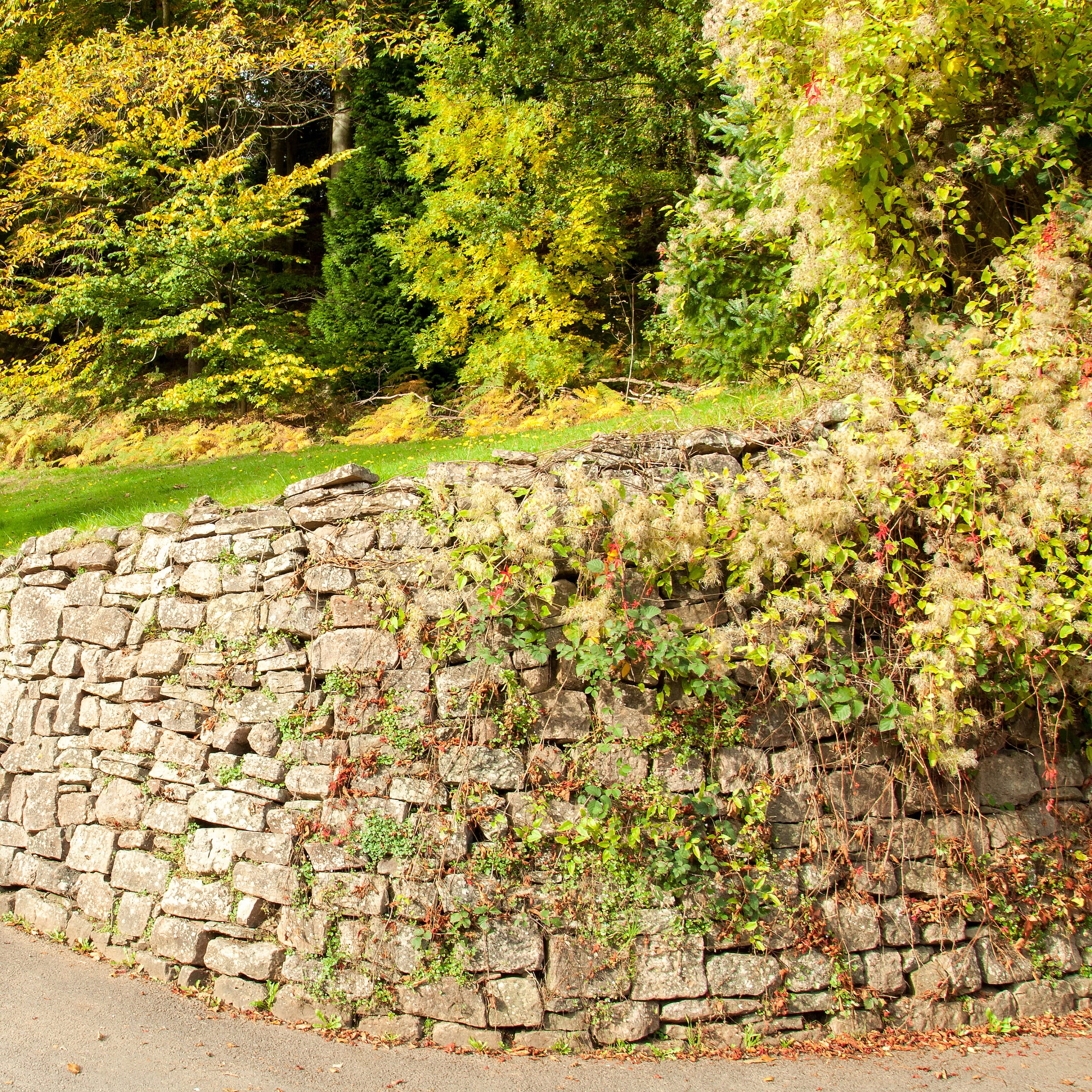 Création de mur en pierre naturelle à La Ciotat
